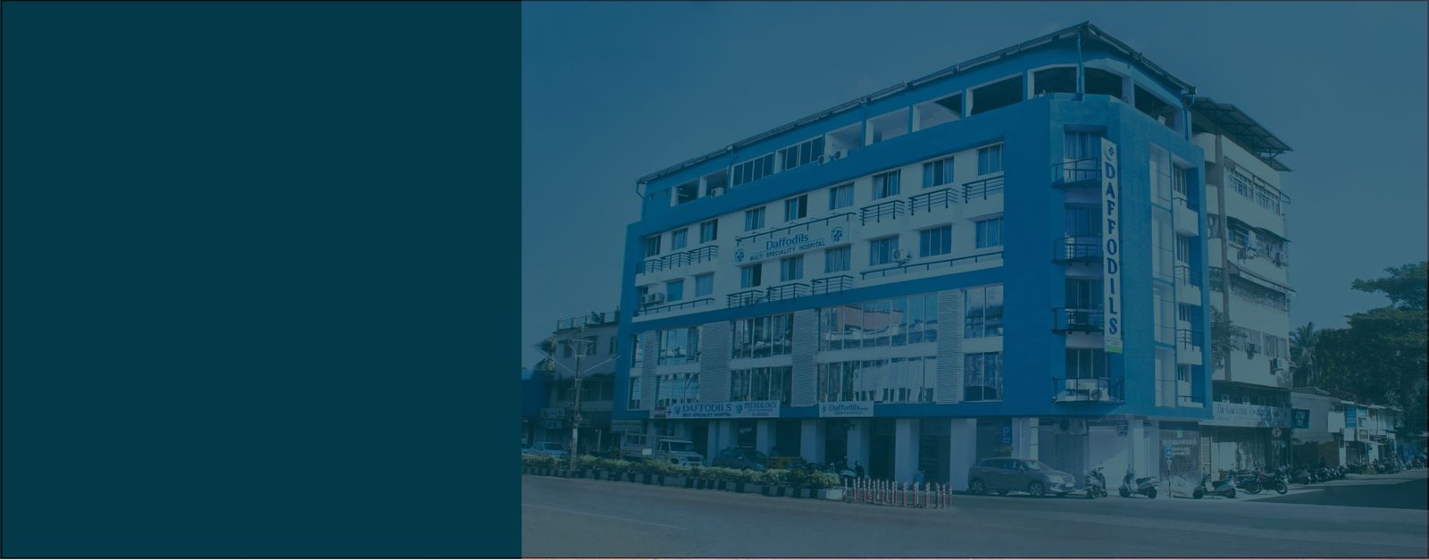 Home Daffodils Hospital